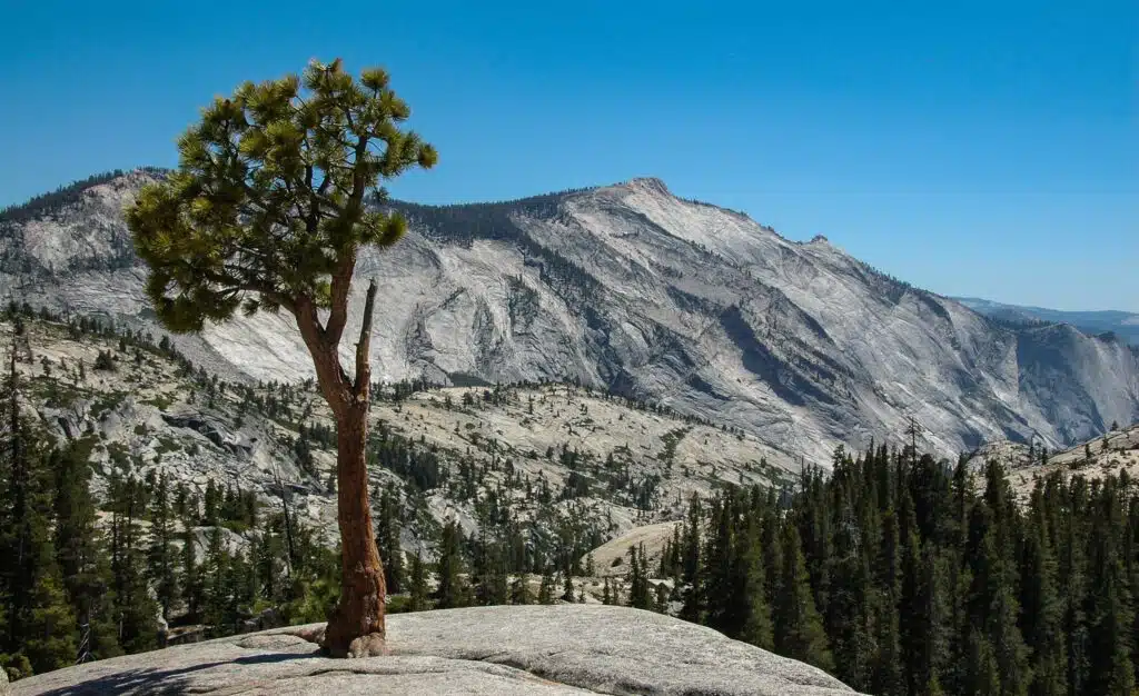 Ana Ally, Guided Yosemite Hikes, Yosemite Trails, Yosemite Hiking Guide
